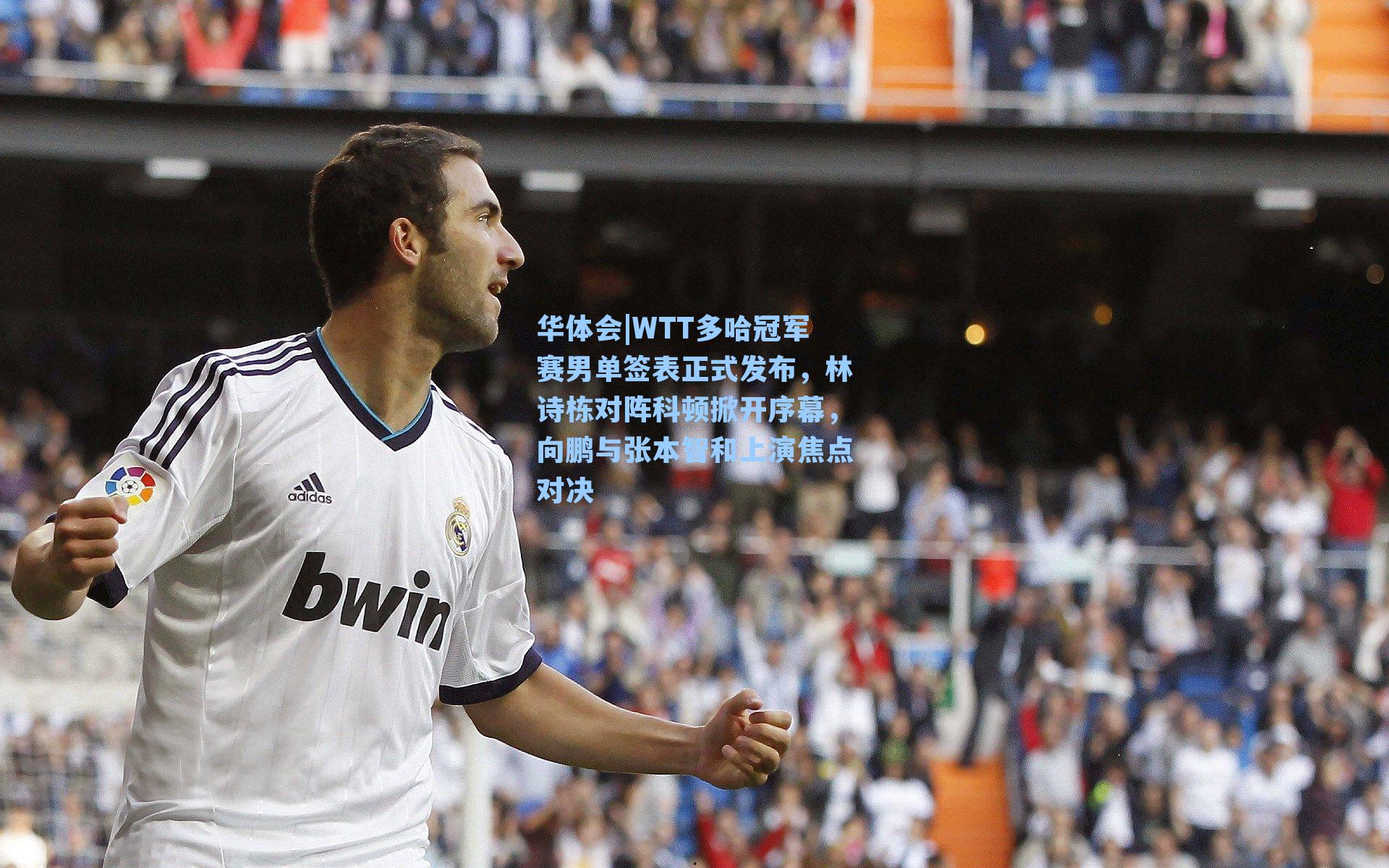 WTT多哈冠军赛男单签表正式发布，林诗栋对阵科顿掀开序幕，向鹏与张本智和上演焦点对决