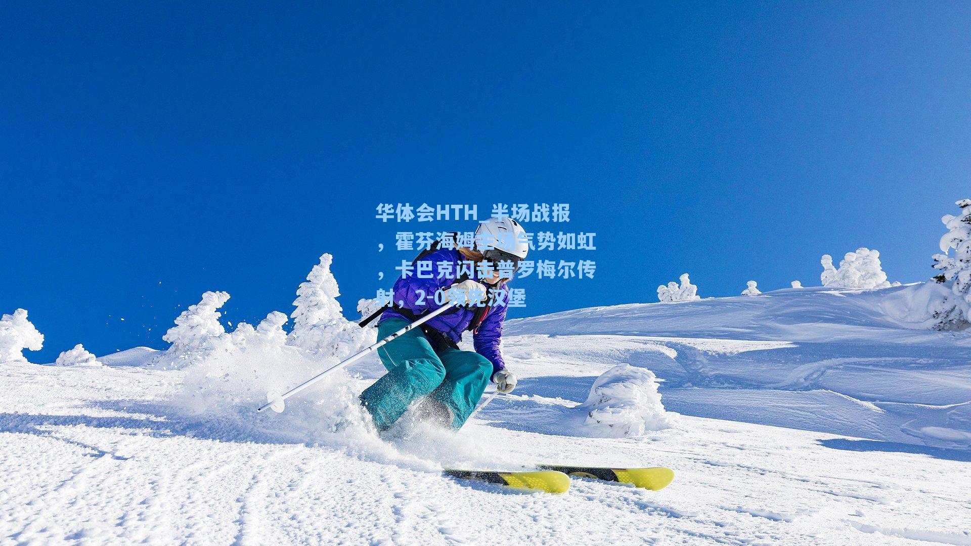 半场战报,霍芬海姆主场气势如虹,卡巴克闪击普罗梅尔传射,2-0领先汉堡